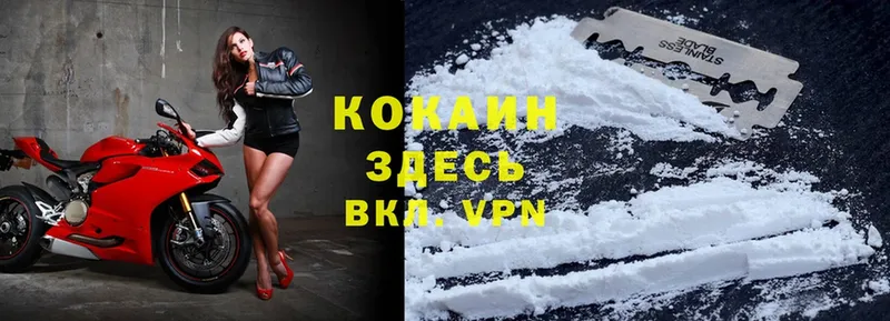 Cocaine 98%  как найти закладки  Кологрив 