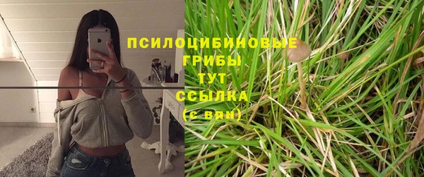 спайс Нягань