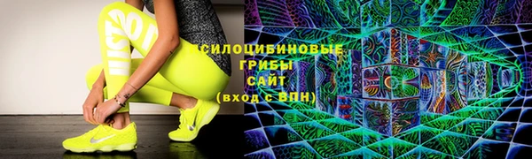 стаф Гусь-Хрустальный