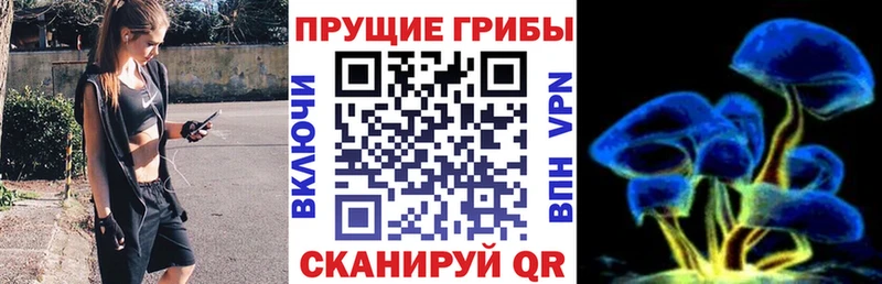 Галлюциногенные грибы MAGIC MUSHROOMS Кологрив