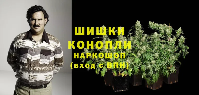 что такое   Кологрив  Канабис OG Kush 